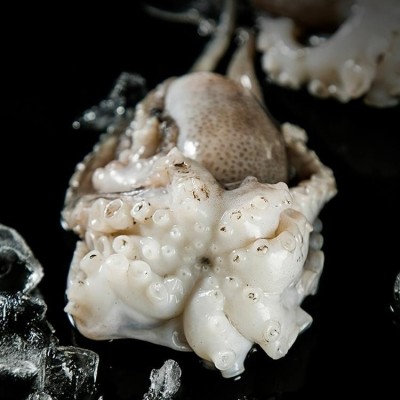 八爪鱼章鱼鲜活海鲜冷冻 有米墨八抓鱼小章鱼足图3