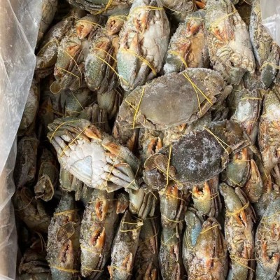 2-6两冻膏蟹胖哥红膏蟹红鲟青蟹浙江活冻猷蠓螃蟹全母蟹煲生腌蟹图4