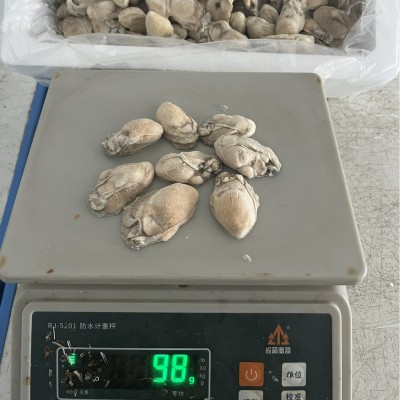 新鲜速冻生蚝海蛎子牡蛎当天现剥生蚝肉自助餐蚝烙去壳台湾美食图4