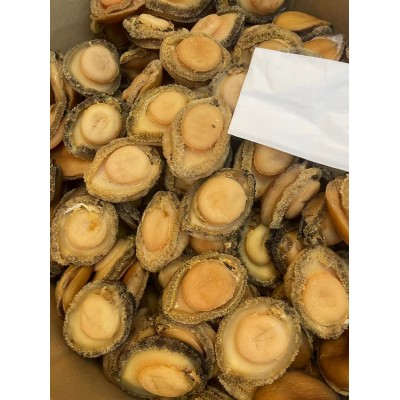 一德路批发 南非鲍鱼淡晒海水产品高端酒店专用佛跳墙食材礼盒图2