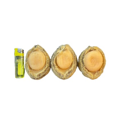 一德路批发 南非鲍鱼淡晒海水产品高端酒店专用佛跳墙食材礼盒图5