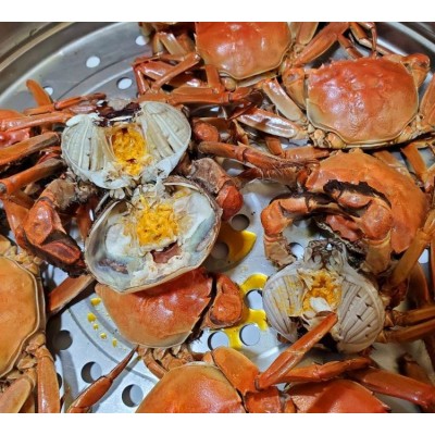 河蟹批发 咨询二力 送礼佳品 肉质鲜美 现捞现卖图2