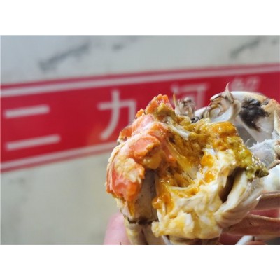 河蟹批发 咨询二力 送礼佳品 肉质鲜美 现捞现卖图4