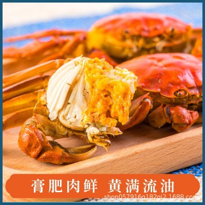 苏州阳澄湖镇大闸蟹微商一件代发蟹农直发公4两母3两8只鲜活到家图3