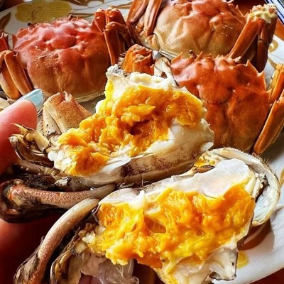 活蟹大闸蟹 鲜活新鲜 现货特大河蟹水产湖蟹 谷垛农业图4