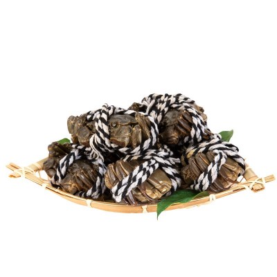 批发代发现货大闸蟹鲜活螃蟹顺丰包邮礼盒装 阳澄湖镇直发图5