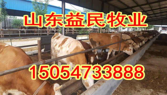 20161107183039743974