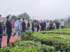 广西实施农业和乡村振兴人才专项培养