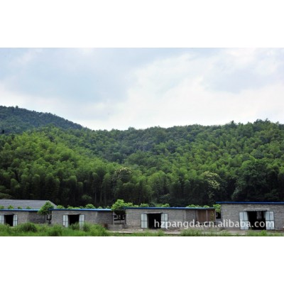 浙江省湖羊原种场 湖羊种羊图3