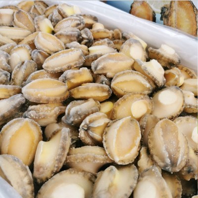 鲍夫人 鲍鱼肉批发去壳去内脏净肉活冻鲍 海鲜酒店食材佛跳墙原料图3