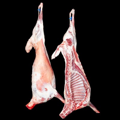 宁夏津玖羊盐池滩羊密齿羔羊肉白条全羊肉整只烧烤食材生羊肉批发图4