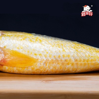 深海捕捞新鲜冷冻大黄花鱼源产地象山石浦现货供应黄鱼可代发图5