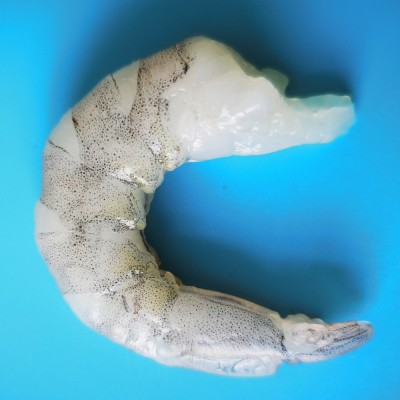 广东金泰联冷冻干冰青虾仁虾仁20斤箱虾仁冷冻冻虾仁批发图3