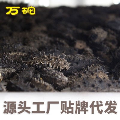 源头工厂 淡干海参大连海参干货批发纯淡干海参50g5-15只散装图2