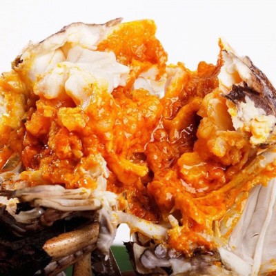 散装大闸蟹全公蟹全母蟹单只鲜活螃蟹礼盒阳澄湖镇大闸蟹图5