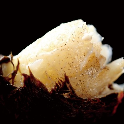 螃蟹大闸蟹苏州阳澄湖镇发货加盟代理节日爆卖图3