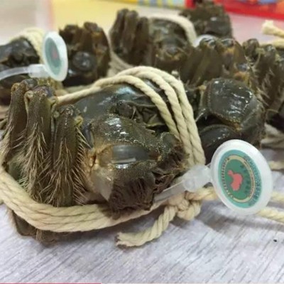 【全母满黄特大蟹】大闸蟹鲜活螃蟹河蟹螃蟹批发4两阳澄湖镇发图4