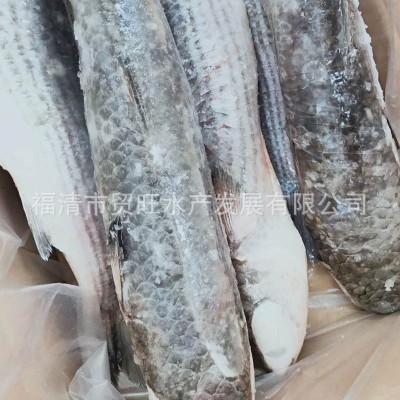 乌母鱼壳厂家批发10kg/件图3