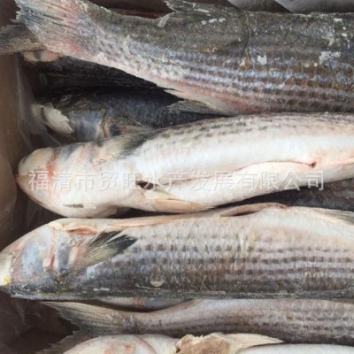 乌母鱼壳厂家批发10kg/件图4