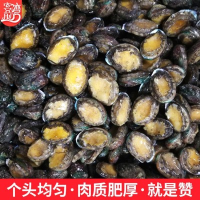 厂家批发活冻小鲍鱼网红麻辣小海鲜 餐饮佛跳墙食材 社区团购代发图3