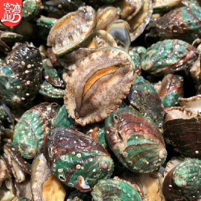 厂家批发活冻小鲍鱼网红麻辣小海鲜 餐饮佛跳墙食材 社区团购代发图2