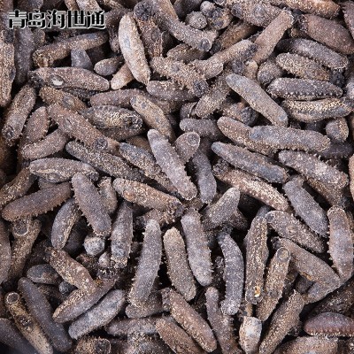 供应关西参海参图4