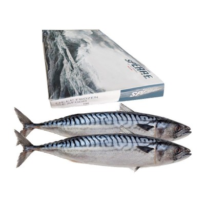 青花鱼 挪威进口青花鱼整条鲐鲭鱼烤青占鱼商用冷冻盐渍 整箱批发图5