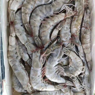 盐冻 专卖店 商超 餐饮 自助 平台 大虾 批发 餐饮 采购 团图5