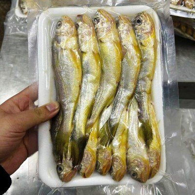 舟山野生小黄鱼新鲜速冻真空黄花鱼3斤包装团购一件代发顺丰包邮图2
