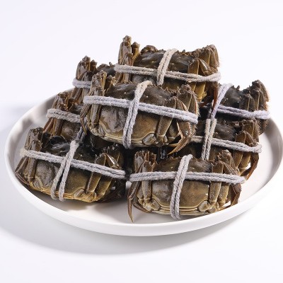 【蟹塘直供】大闸蟹鲜活螃蟹现货现捕六月黄批发兴化河蟹海鲜现货图3