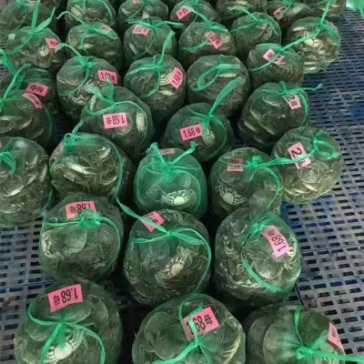 【蟹塘直供】大闸蟹鲜活螃蟹现货现捕六月黄批发兴化河蟹海鲜现货图2