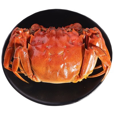 【蟹塘直供】大闸蟹鲜活螃蟹现货现捕六月黄批发兴化河蟹海鲜现货图5