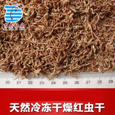 冻干红虫干灯科鱼金鱼孔雀鱼斗鱼小型鱼热带鱼观赏鱼鱼食饲料鱼粮图2