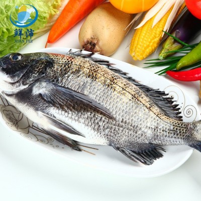 东山岛深海黄翅鱼500g2条左右野生黄鲷鱼海捕速冻商用批发黄立鱼图3