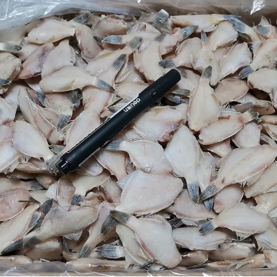速冻水产品 单冻三去50-60条斤马面鱼冷冻达仔鱼可加工耗儿鱼厂家图2