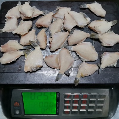 速冻水产品 单冻三去50-60条斤马面鱼冷冻达仔鱼可加工耗儿鱼厂家图4