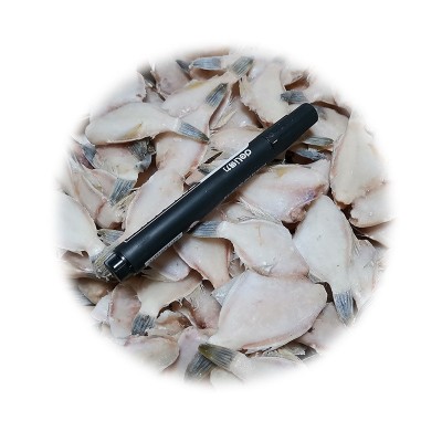 速冻水产品 单冻三去50-60条斤马面鱼冷冻达仔鱼可加工耗儿鱼厂家图3