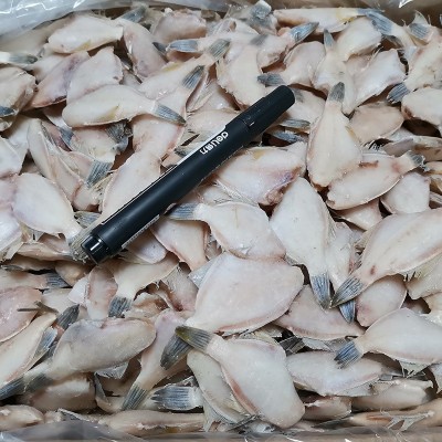 速冻水产品 单冻三去50-60条斤马面鱼冷冻达仔鱼可加工耗儿鱼厂家图5