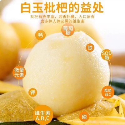 苏州东山正宗白玉枇杷鲜果应季现摘新鲜大果超甜白沙琵琶孕妇礼盒图2