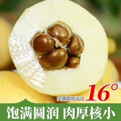 苏州东山正宗白玉枇杷鲜果应季现摘新鲜大果超甜白沙琵琶孕妇礼盒图4