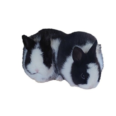 宠物兔活体长不大侏儒兔小型猫猫兔垂耳兔安哥拉兔彩獭兔包邮图5