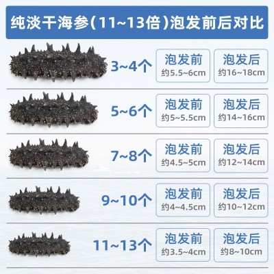 大连特产纯淡干海参干货批发海鲜水产辽刺参散装家用礼盒装可商用图4