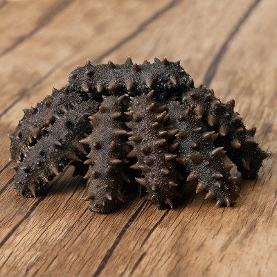 大连半干海参批发500g冷冻水产非干货拉缸盐辽刺参可食用一件代发图4