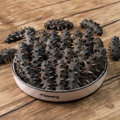 大连半干海参批发500g冷冻水产非干货拉缸盐辽刺参可食用一件代发图3