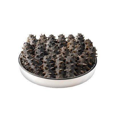 大连半干海参批发500g冷冻水产非干货拉缸盐辽刺参可食用一件代发图5