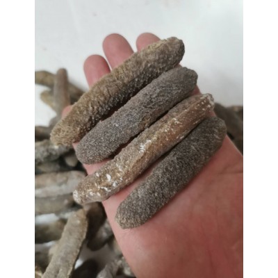 厂家供应淡干海参 海鲜水产秃参沙秃黄秃参干货食材批发500g图2