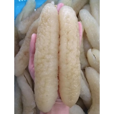 厂家供应淡干海参 海鲜水产秃参沙秃黄秃参干货食材批发500g图3