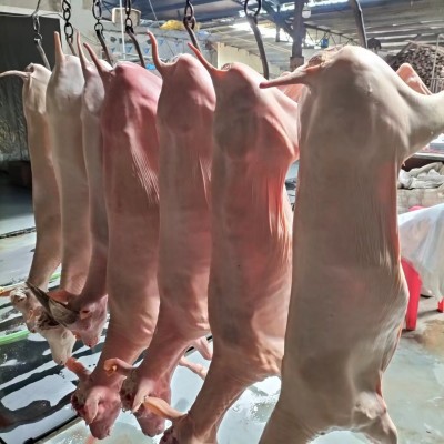 山西农户养殖绒山羊现货公羊母羊市场价格生羊绒山羊图2