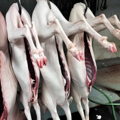 山西农户养殖绒山羊现货公羊母羊市场价格生羊绒山羊图5