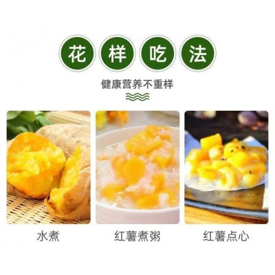 日本玛莎莉红薯高端品种红皮黄肉现挖现卖老少皆宜图2
